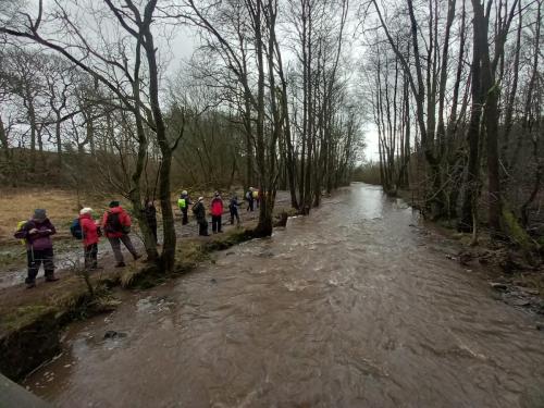 Recent Walks