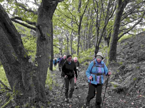 Borsdane Woods - 22 Sept 2024 - Sunday Walk