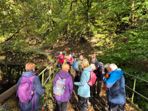 Walking Eagley Brook - 12th Oct 2024