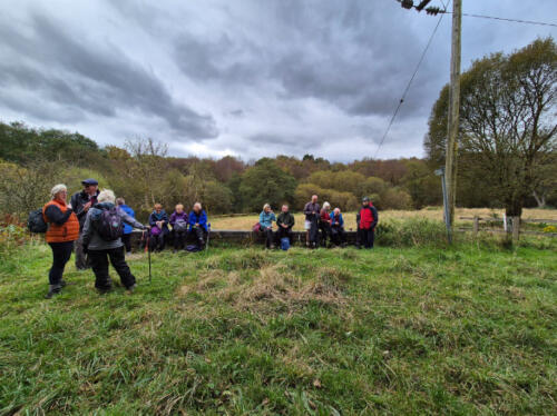 Walking Eagley Brook - 12th Oct 2024